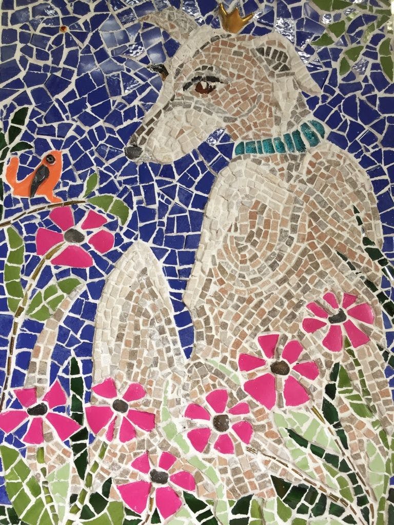 Cover Image for Sparky the Whippet